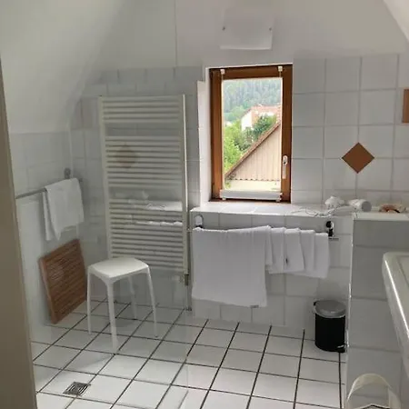 Villa Sophie - 5 Sterne Unterkunft - Am Park Im Schwarzwald