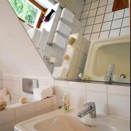 Villa Sophie - 5 Sterne Unterkunft - Am Park Im Schwarzwald