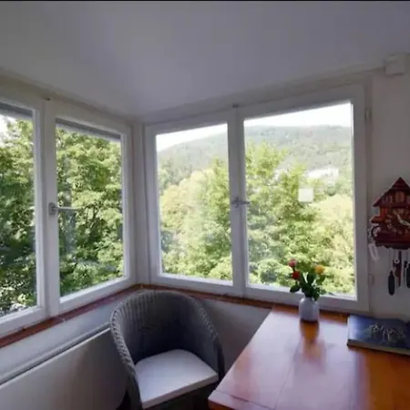Villa Sophie - 5 Sterne Unterkunft - Am Park Im Schwarzwald